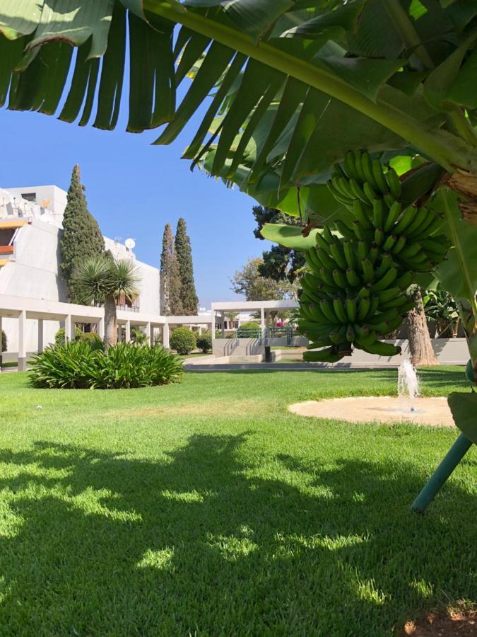 Ferienwohnung Good Vibes Costa Del Silencio Exterior foto
